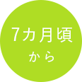 7カ月頃から